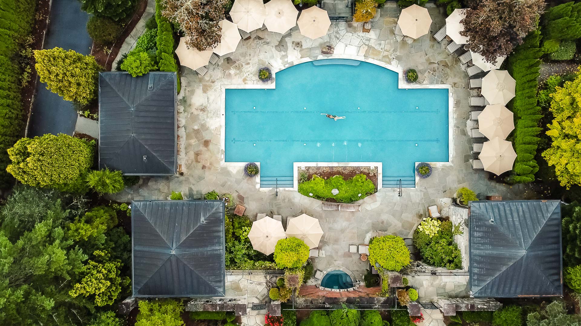 Aerial view of a luxury outdoor pool surrounded by nature and lounge seating