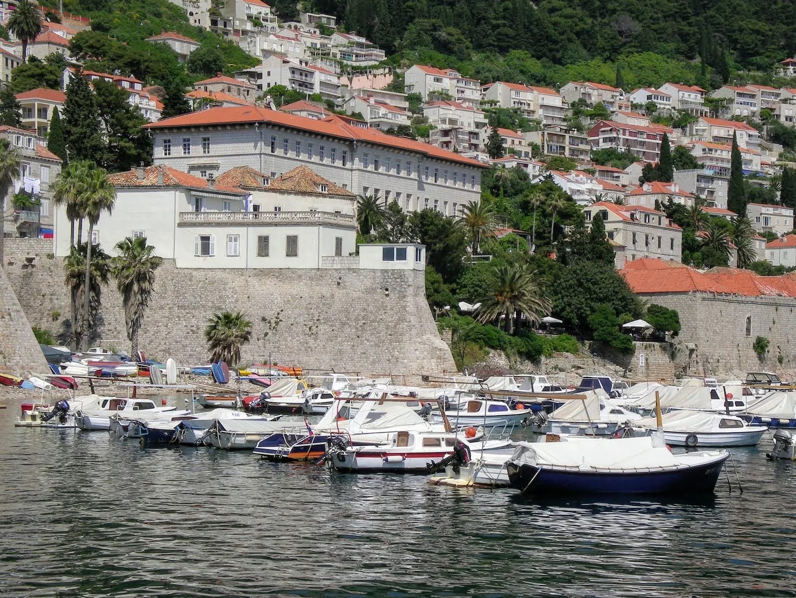 The harbour and red rooftops of Dubrovnik on the Adriatic