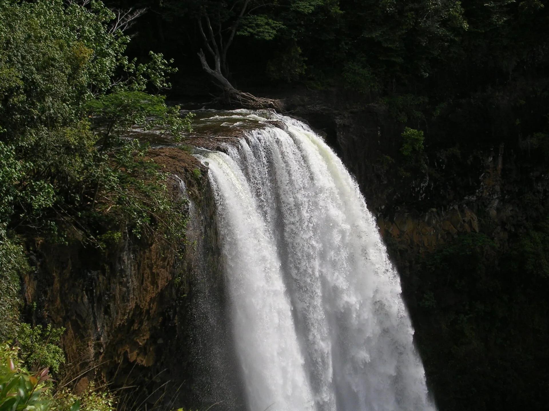 A tall tropical waterfall dropping into a green pool surrounded by rainforest in Hawaii