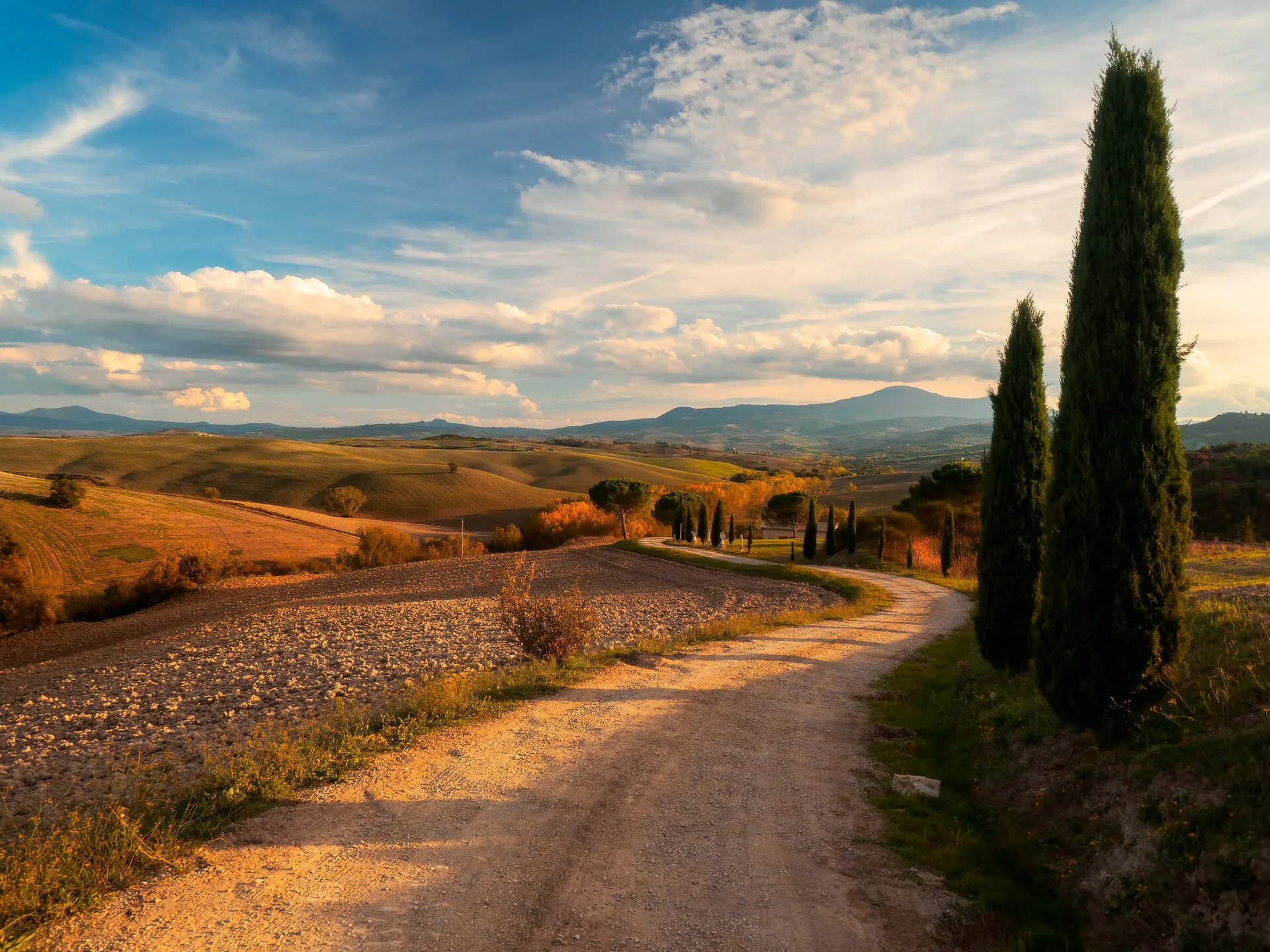 Rolling Tuscan hills with a winding cypress-lined road at golden hour