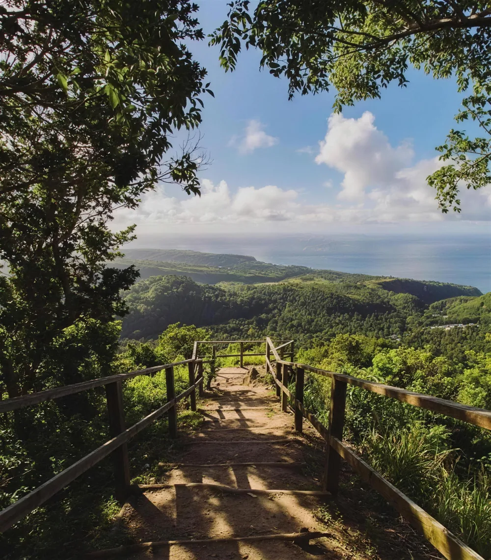 The wooden steps of the Tet Paul Nature Trail opening to a sweeping coastal view