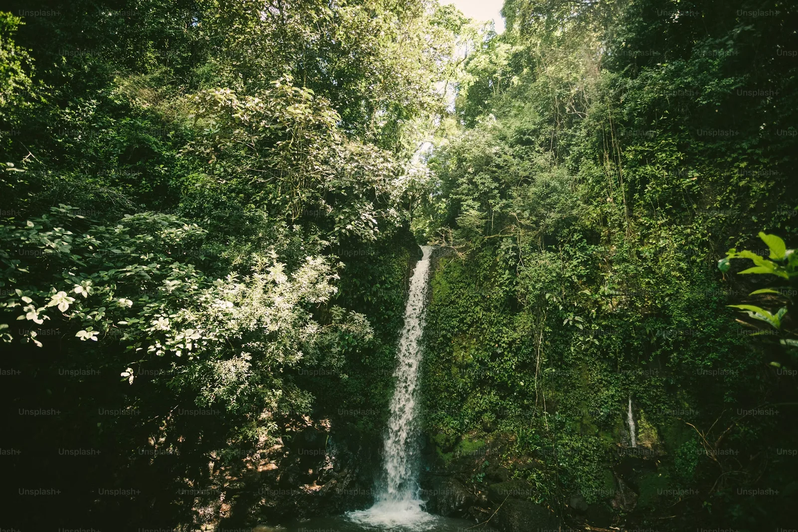 Toraille Waterfall pouring through lush rainforest into a clear pool